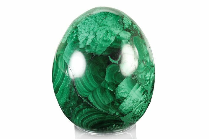 Flowery, Polished Malachite Egg - Congo #241944